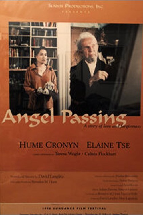 Постер Angel Passing